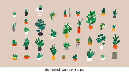 Potted plants collection. Urban jungle, trendy home decor with plants, cactus, tropical leaves. Set of house indoor plant vector hand drawn cartoon illustration