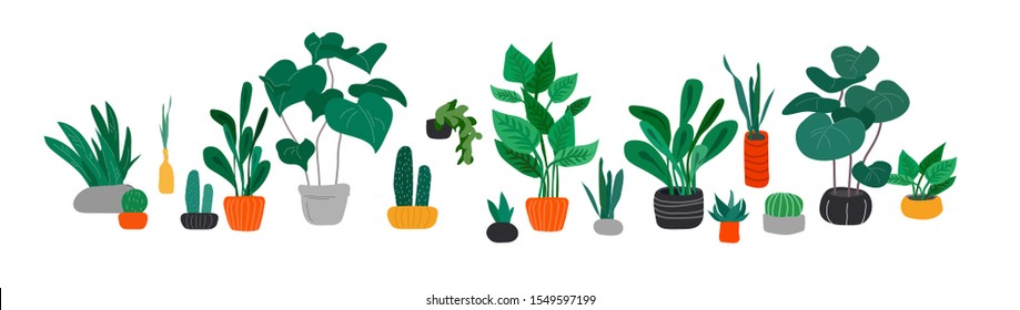 Potted plants collection. Urban jungle, trendy home decor with plants, cactus, tropical leaves. Set of house indoor plant vector hand drawn cartoon illustration