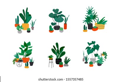 Potted plants collection. Urban jungle, trendy home decor with plants, cactus, tropical leaves. Set of house indoor plant vector hand drawn cartoon illustration