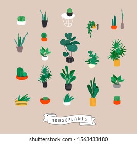 Potted plants collection. Urban jungle, trendy home decor with plants, cactus, tropical leaves. Set of house indoor plant vector hand drawn cartoon illustration