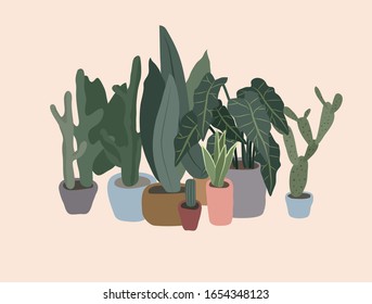 Potted plants collection. Urban jungle, trendy home decor with plants, cactus, tropical leaves. Set of house indoor plant vector hand drawn cartoon illustration