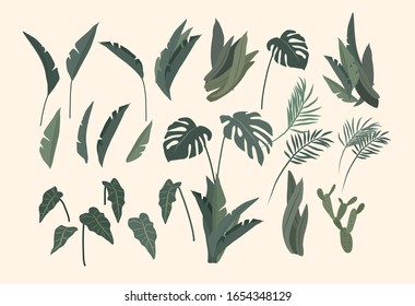 Potted plants collection. Urban jungle, trendy home decor with plants, cactus, tropical leaves. Set of house indoor plant vector hand drawn cartoon illustration