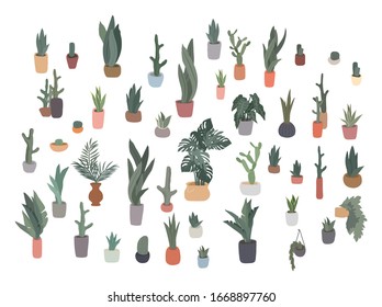 Potted plants collection. Urban jungle, trendy home decor with plants, cactus, tropical leaves. Set of house indoor plant vector hand drawn cartoon illustration