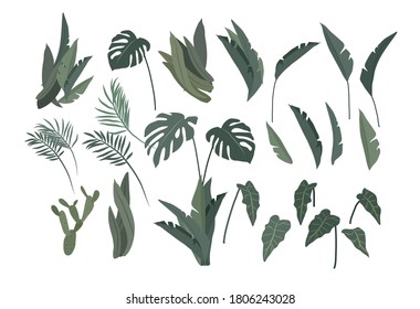 Potted plants collection. Urban jungle, trendy home decor with plants, cactus, tropical leaves. Set of house indoor plant vector hand drawn cartoon illustration