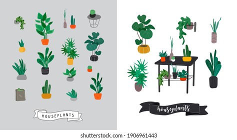 Potted plants collection. Urban jungle, trendy home decor with plants, cactus, tropical leaves. Set of house indoor plant vector hand drawn cartoon illustration