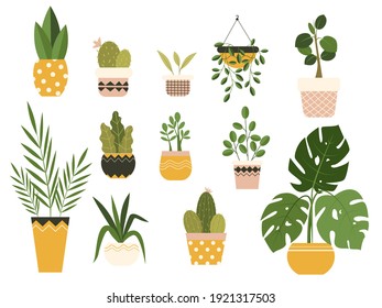 Potted plants collection. Urban jungle, trendy home decor with plants, cactus, tropical leaves. Set of house indoor plant vector hand drawn cartoon illustration