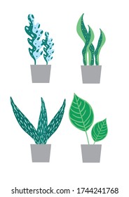 Colección de plantas potentadas en ilustración vectorial. Versátil y lista para usar la plantilla de diseño.