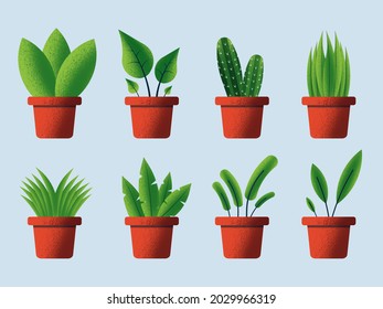 
potted plants colllection in vector illustration