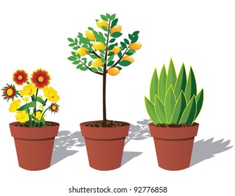 Potted Plants EPS 8 Vector, Grouped For Easy Editing, No Open Shapes Or Paths.