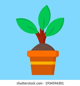potted plants flat icon illustration of vector graphic