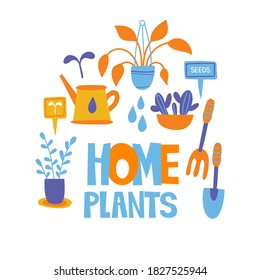 Potted plants flat postcard template. Foliage houseplants, exotic flora. Flower sweet home poster. Hobby. Growing indoor plants. Botany.
