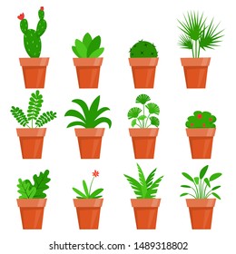 Potted plants and flowers. Cute house plants in flat style. Vector illustration