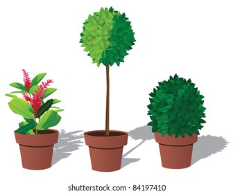 Potted Plants A group of potted plants. EPS 8 vector cleanly built with no open shapes or strokes.