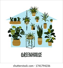 Potted plants growing in a greenhouse. Home garden concept. Vector illustration in a flat style
