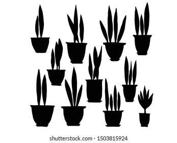 Potted Plants Hand Drawn Vector Silhouette Illustration 