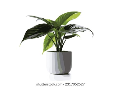 Potted plants for home and garden