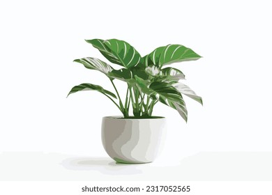 Potted plants for home and garden