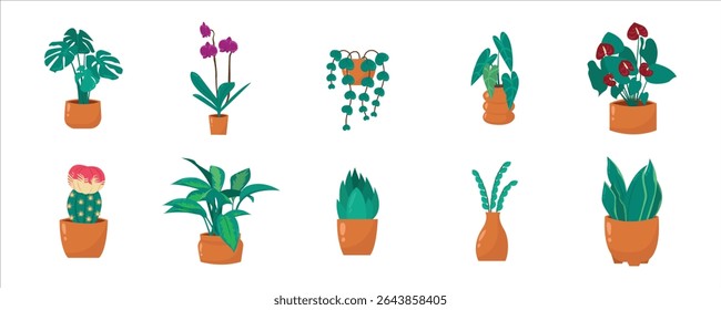 Potted Plants, House Plants in Ceramic Pots. Home decoration, indoor greenery, and botanical illustration. Indoor Plant Collection
