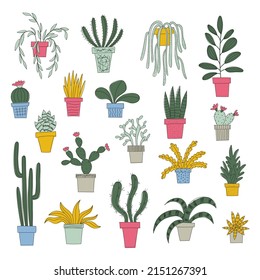 Potted plants illustrations set. Hand drawn succulents and house plants. Doodle style illustration