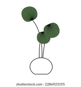 Potted plants. Interior houseplants in planters, baskets, flowerpots. Home indoor green decor. Different succulents, foliage. Flat graphic vector illustrations isolated on white background