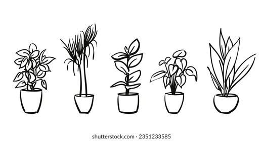 Potted plants isolated Hand drawn illustration set, Vector sketch, Indoor houseplant flowerpot freehand drawing