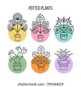 Potted plants. Isolated linear icons in colorful circles on a white background.