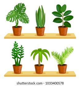 potted plants, isolated. vector illustration