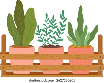 Potted plants with large green leaves are arranged on a wooden shelf, creating a cozy and natural atmosphere perfect for home decoration or gardening projects