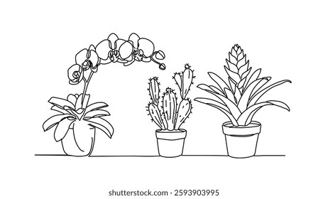 Potted plants line art drawing. Orchid cactus bromeliad inside. Interior design home decor art print. Minimalist outline white background vector illustration