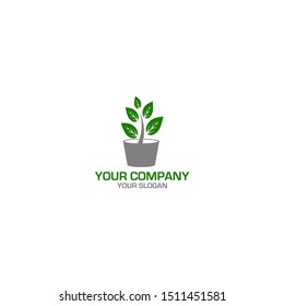 Potted Plants Logo Design Vector