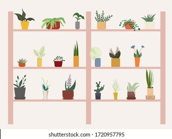 Potted plants on a flat stand