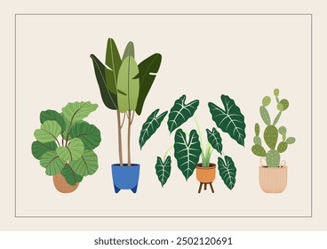 Potted plants on a new home greeting card, print, or poster. Housewarming party invitation with potted flowers. New place to live in postcard with house plants in flowerpots. Flat vector illustration.