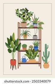 Potted plants on a new home greeting card, print, or poster. Housewarming party invitation with interior scene. New place to live in postcard with house plants in flowerpots. Flat vector illustration.