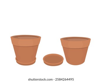 Potted plants on a white background.