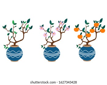 Potted Plants Orange Tree Growth Stages Stock Vector (royalty Free 