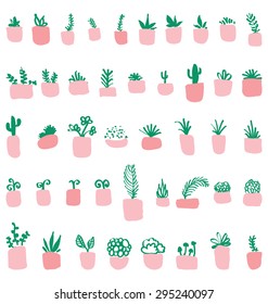 Potted plants in the pink pots.