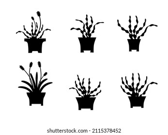 Potted Plants Set, Decorative Plant Vector Isolated On White. Eps 10.