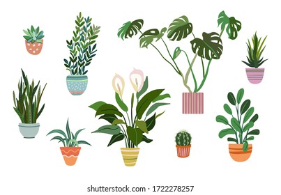 Potted plants set. Houseplants in colorful pots, succulent, home garden, indoor trees. Vector illustration for interior, botany, house decoration concept