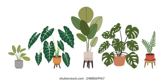 Potted plants set. Indoor houseplants in flowerpots. Trendy home decor with indoor plants in Scandinavian style pots. Colorful house flowers. Flat vector illustration isolated on a white background.