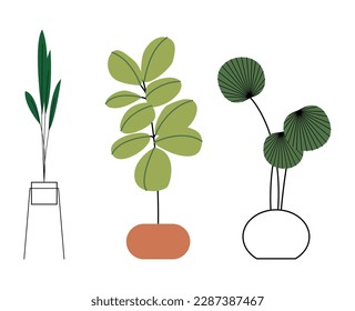 Plantas cultivadas. Instalaciones interiores en plantadores, cestas, macetas de flores. Decoración verde interior casera. Diferentes suculentos, follaje. Ilustraciones gráficas planas vectoriales aisladas en fondo blanco