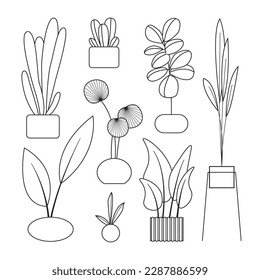 Potted plants set. Interior houseplants in planters, baskets, flowerpots. Home indoor green decor. Different succulents, foliage. Outline, line art graphic vector isolated on background