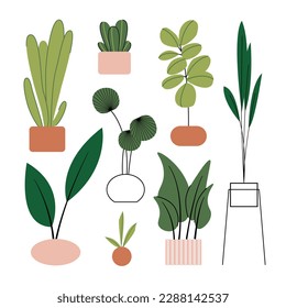 Potted plants set. Interior houseplants in planters, baskets, flowerpots. Home indoor green decor. Different succulents, foliage. Flat graphic vector illustrations isolated on white background