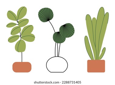 Potted plants set. Interior houseplants in planters, baskets, flowerpots. Home indoor green decor. Different succulents, foliage. Flat graphic vector illustrations isolated on white background