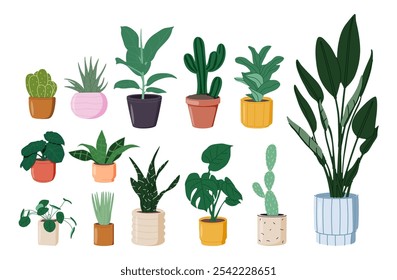 Plantas envasadas. Plantas de interior em plantadores, cestas, vasos de flores. Decoração verde interior. Diferentes suculentas, cactos, folhagem. Ilustrações gráficas vetoriais planas isoladas sobre fundo branco