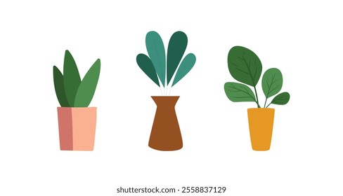 Potted plants set. Interior houseplants in planters, baskets, flowerpots. Home indoor green decor. Different succulents, cacti, foliage. Flat graphic vector illustrations isolated on white background