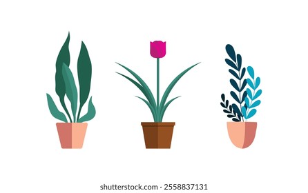 Potted plants set. Interior houseplants in planters, baskets, flowerpots. Home indoor green decor. Different succulents, cacti, foliage. Flat graphic vector illustrations isolated on white background