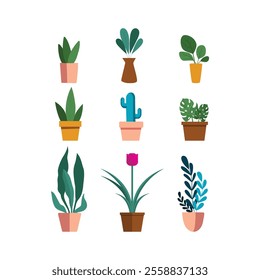 Potted plants set. Interior houseplants in planters, baskets, flowerpots. Home indoor green decor. Different succulents, cacti, foliage. Flat graphic vector illustrations isolated on white background