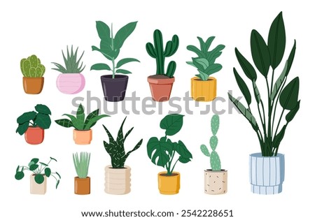 Potted plants set. Interior houseplants in planters, baskets, flowerpots. Home indoor green decor. Different succulents, cacti, foliage. Flat graphic vector illustrations isolated on white background