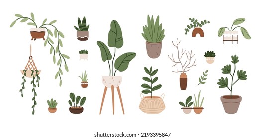 Potted plants set. Leaf houseplants in planters, indoor flowerpots, vases. Different growing foliage decor for modern home interior decoration. Flat vector illustrations isolated on white background