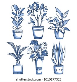 Potted plants, a set of vector drawings.